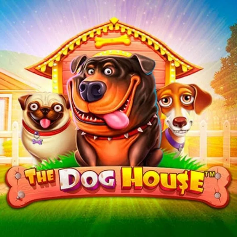 The Dog House slot at Duelbits Casino
