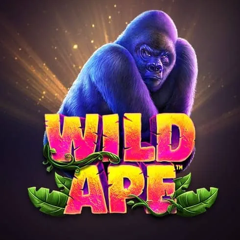 Wild Ape slot at Duelbits Casino